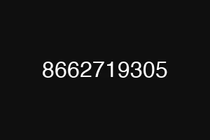 8662719305