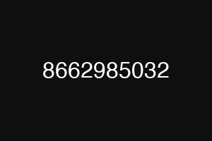 8662985032
