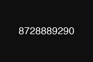 8728889290