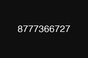 8777366727