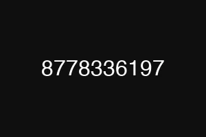8778336197