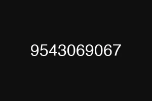 9543069067